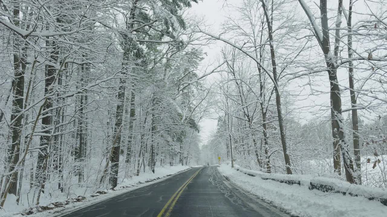 POV在雪地上行驶，穿过树木被雪覆盖的森林视频下载