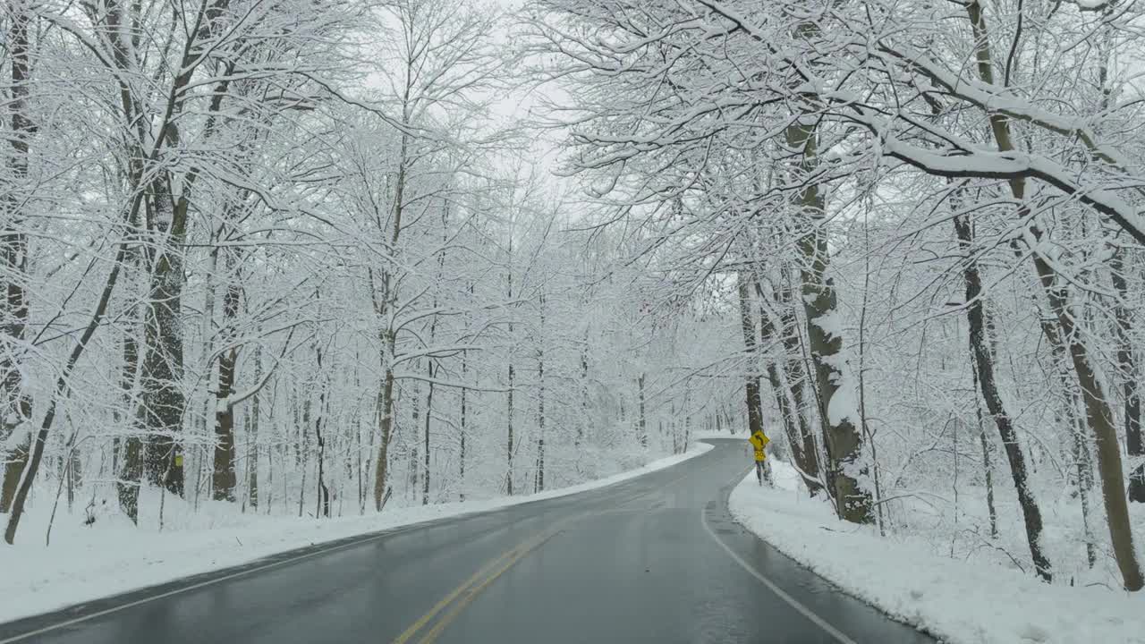 美国纽约州北部，树林里的道路上，树木被雪覆盖视频下载