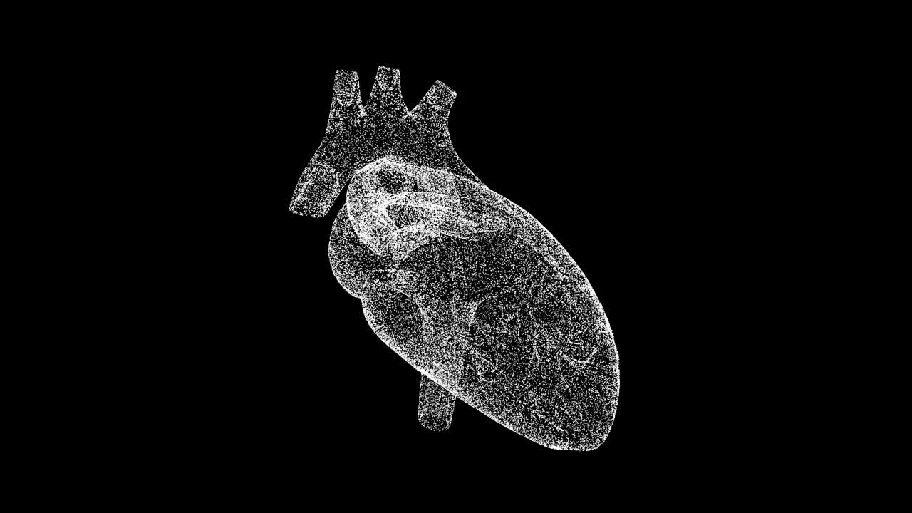 3D心脏在黑色背景上旋转。医学概念。循环系统。商业广告背景。用于标题，文本，演示。3d动画60 FPS。视频下载