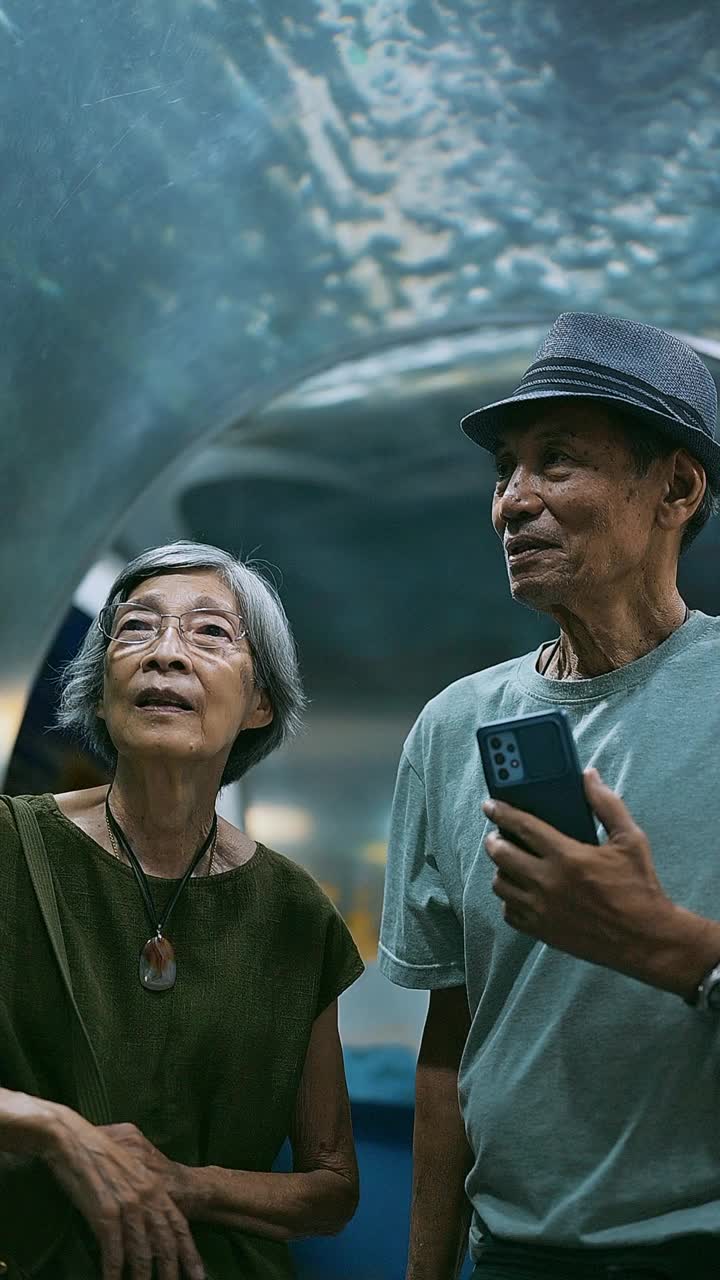 亚洲活跃的老年人喜欢旅行视频下载