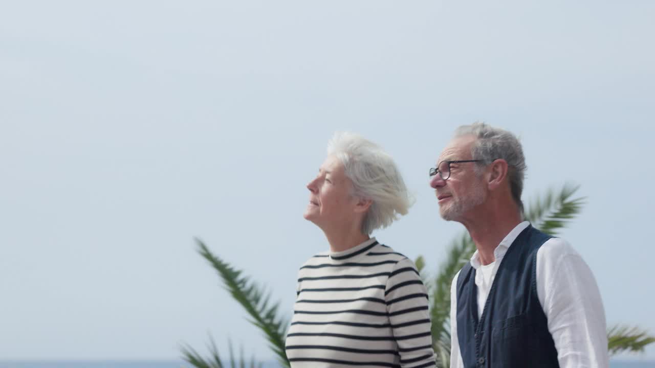 一对老年夫妇在阳光明媚的夏日里，在繁忙的海滩附近手挽着手，精力充沛地散步。视频下载