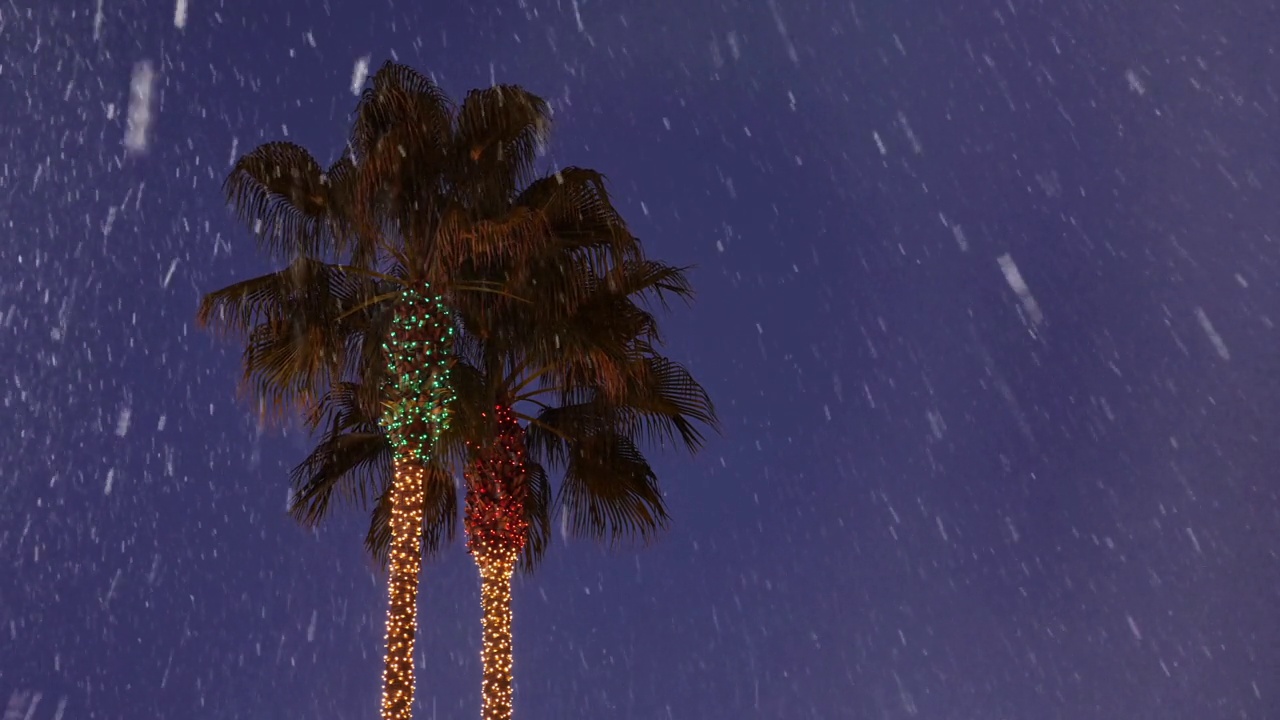 为圣诞节装饰的两棵棕榈树的雪景视频下载