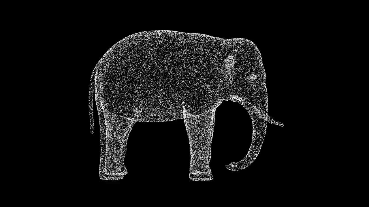 3D大象在黑色背景上旋转。野生动物概念。马戏团和动物园。商业广告背景。用于标题，文本，演示。3d动画60 FPS。视频下载