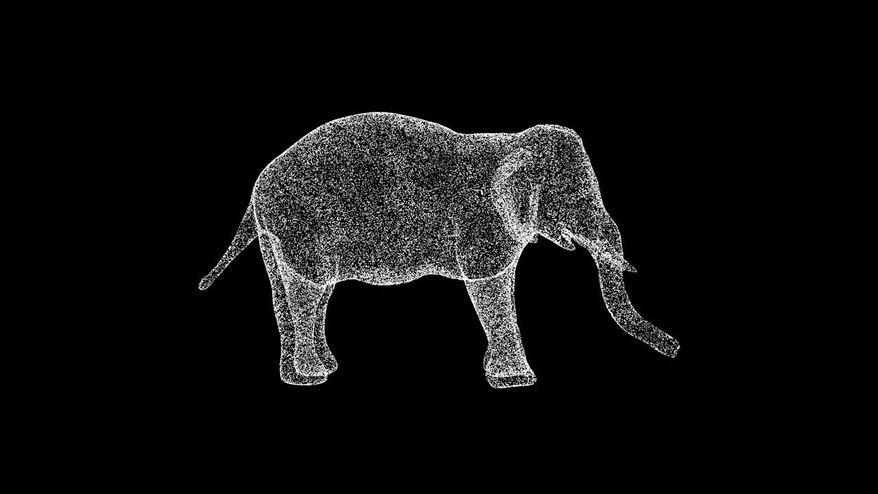 3D小象在黑色背景上旋转。野生动物概念。马戏团和动物园。商业广告背景。用于标题，文本，演示。3d动画60 FPS。视频下载