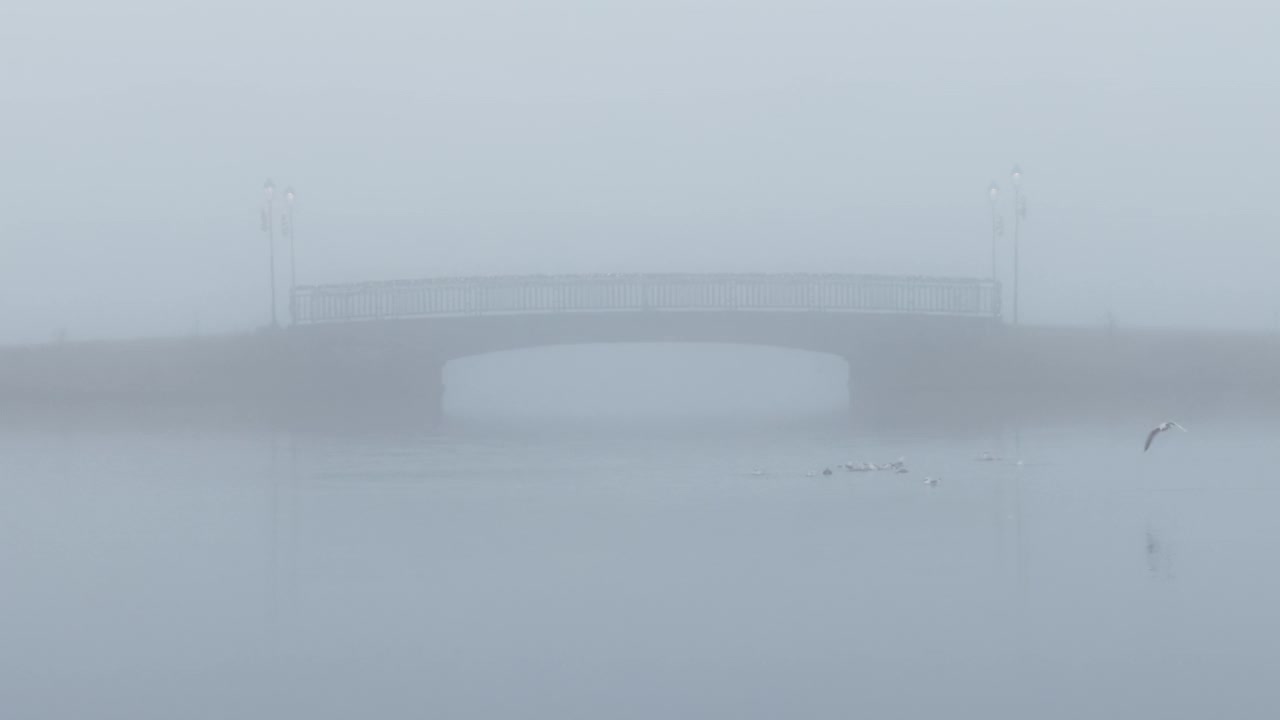 冰岛雷克雅未克大雾中的托约宁湖大桥视频下载