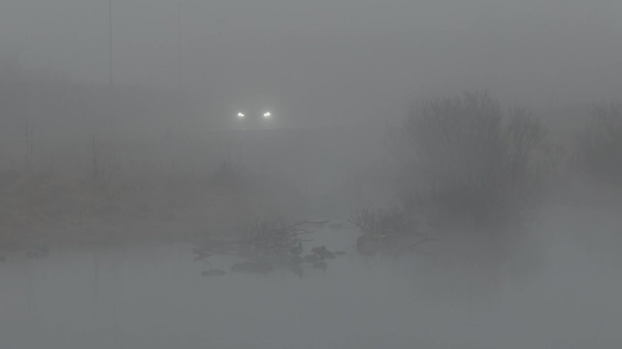 冰岛雷克雅未克，汽车在浓雾中行驶，旁边是水视频下载