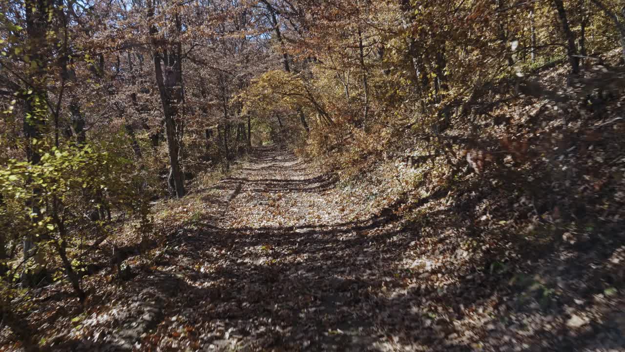 山路:在山脉斜坡上的秋天森林中覆盖着干树叶和干树根的路阳光灿烂，树干上投下长长的影子。慢跑视频素材