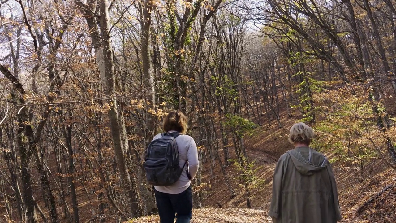 两个女人在秋林的阳光下散步。金秋美景瑰丽视频下载