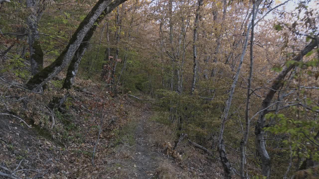 一个明媚的秋日，在山间的森林里，阳光普照。秋天周末远足。摄像机沿着路径移动视频素材