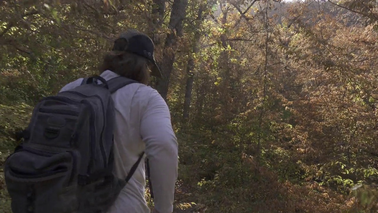 一个背着背包的女人走在茂密的秋天森林里的一条狭窄的小路上。秋天周末远足。视频下载