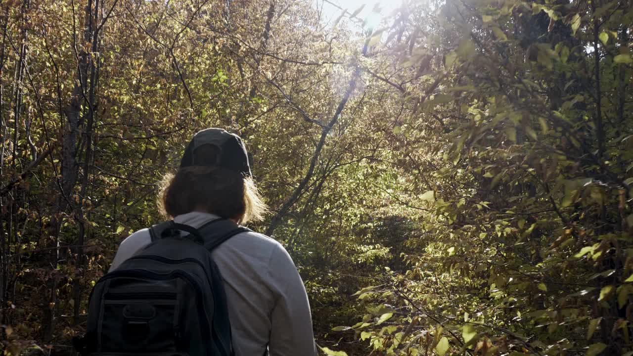 一个背着背包的女人走在茂密的秋天森林里的一条狭窄的小路上，阳光明媚。秋季周末远足视频下载