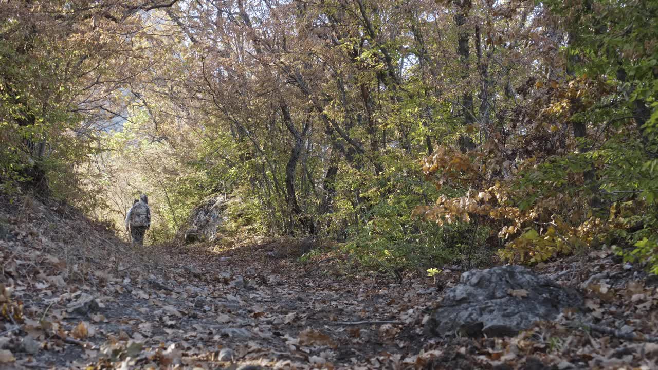 一个背着背包的女人和她的朋友沿着秋天森林里的一条小路徒步旅行。视频下载