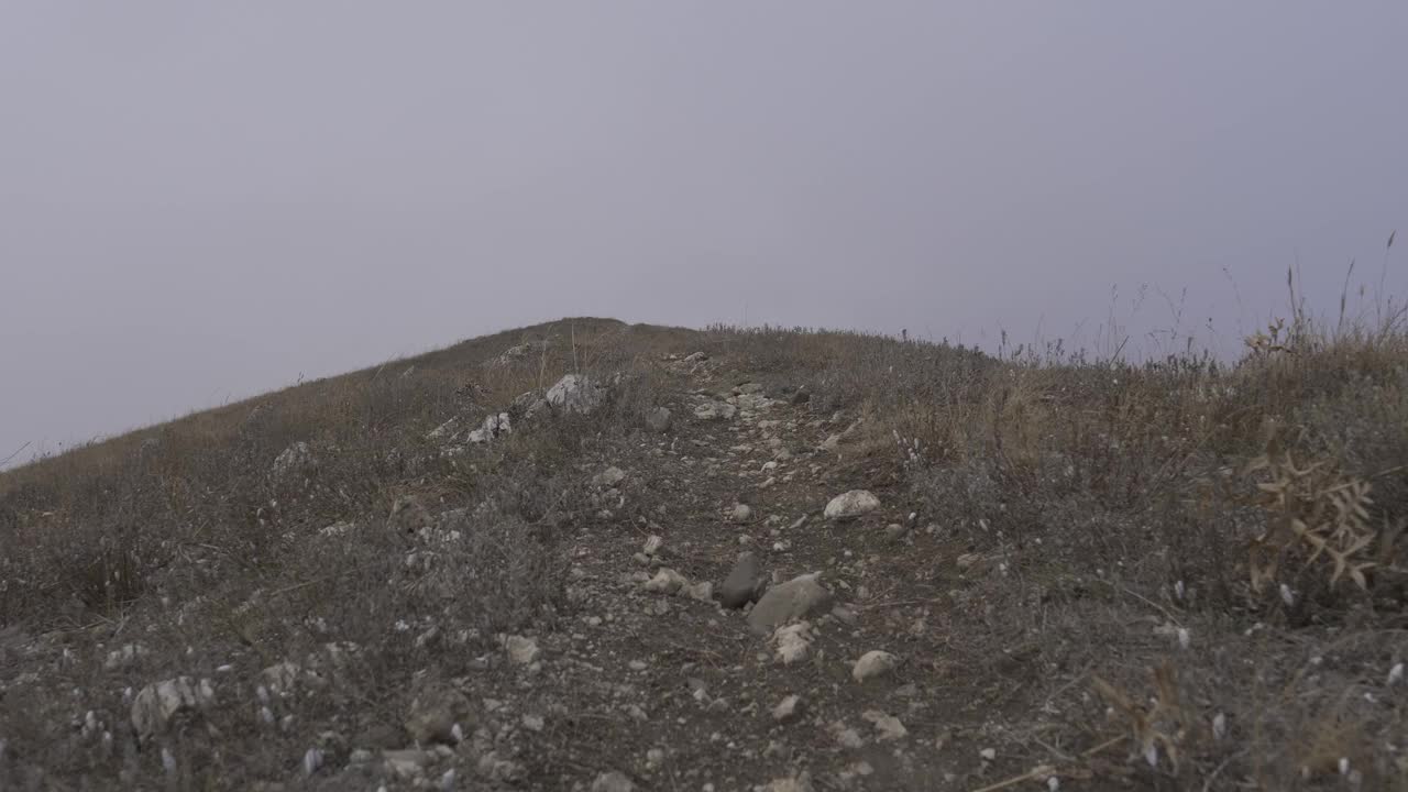 秋天的晨跑。摄像机快速移动，穿过布满岩石的小路进入浓雾中。实时摄像机效果视频下载