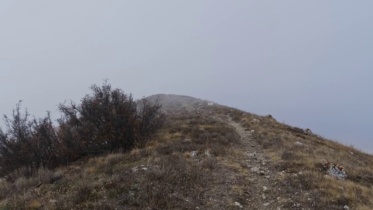 秋天的慢跑。摄像机快速移动，穿过布满岩石的小路进入浓雾中。现场摄像机效果。视频下载