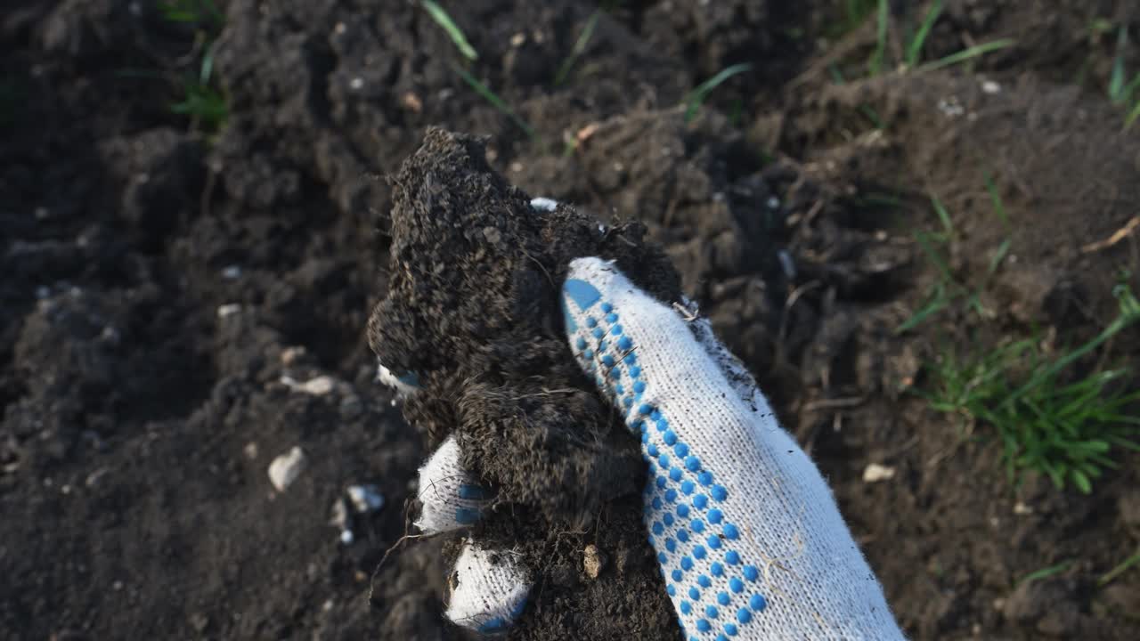 农学家在耕地中检查土壤，手特写视频下载