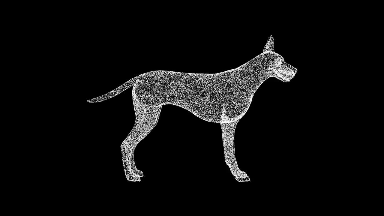 3D大丹狗在黑色背景上旋转。宠物的概念。大型纯种狗。商业广告背景。用于标题，文本，演示。3d动画60 FPS。视频下载