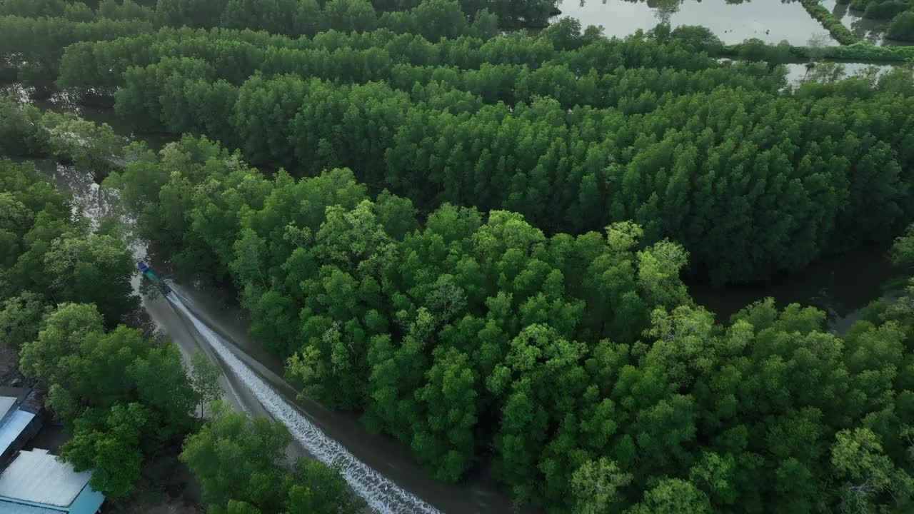 探索越南最南端的金瓯省的红树林视频素材