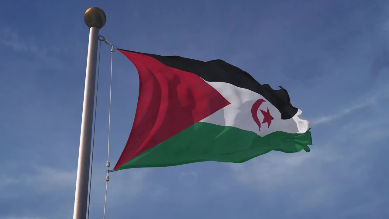 阿拉伯撒哈拉民主共和国国旗视频下载