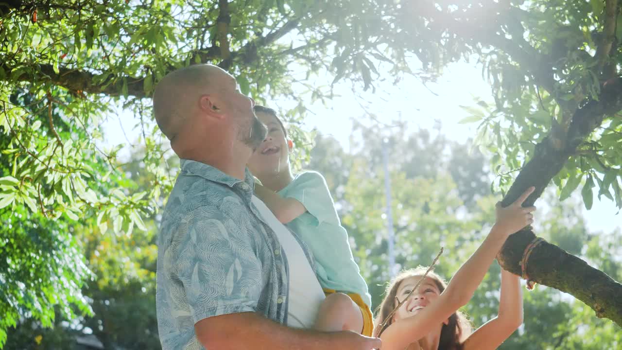 阳光明媚的一天，父亲和孩子们在树下视频下载