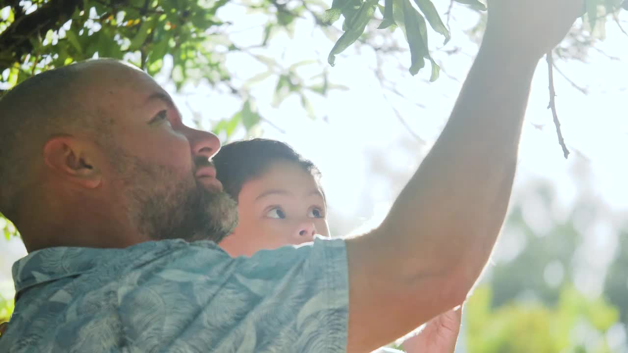阳光明媚的一天，父亲带着患有唐氏综合症的儿子站在树下视频下载