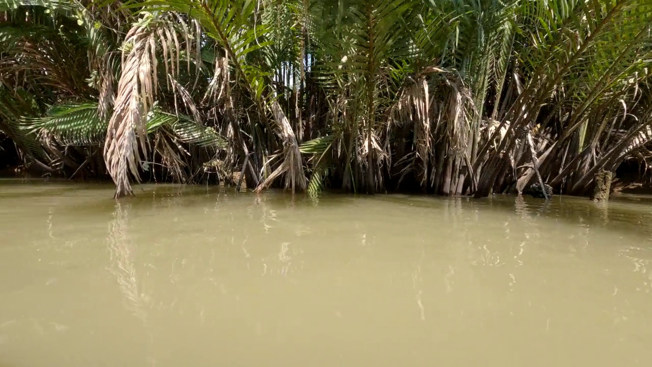 湄公河三角洲，越南，从船上俯瞰河流周围的丛林视频下载