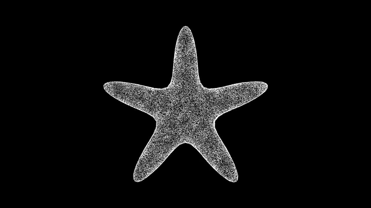 3D海星在黑色背景上旋转。水下海洋世界概念。海洋动物。商业广告背景。用于标题，文本，演示。3d动画60 FPS。视频下载