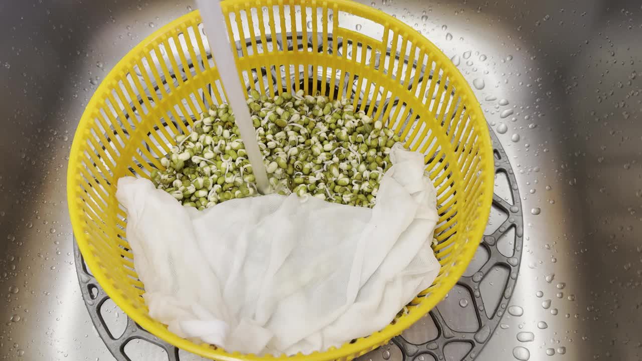 在家里用不锈钢水槽用冷水冲洗豆子。发芽的绿豆，绿绿豆在塑料容器里。素食是健康的。视频下载