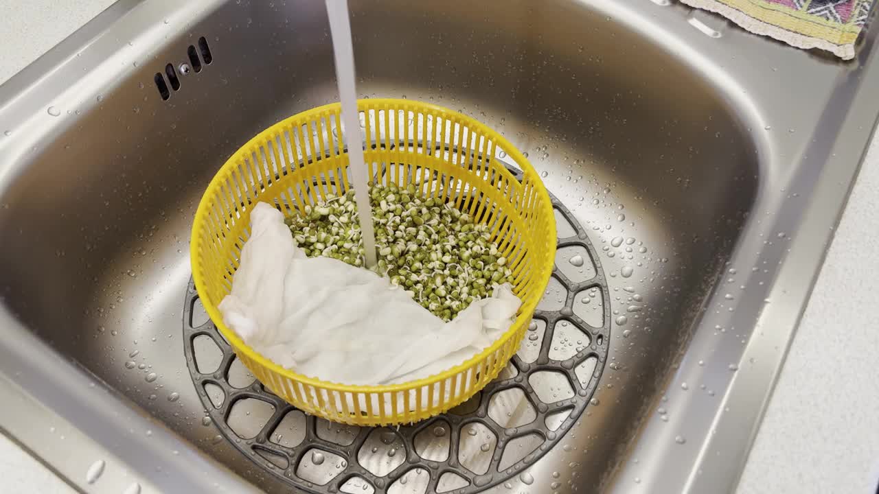 在家里用不锈钢水槽用冷水冲洗豆子。发芽的绿豆，绿绿豆在塑料容器里。素食是健康的。视频下载