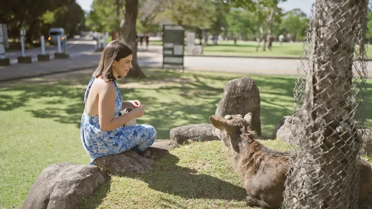 在日本著名的奈良公园，开朗、美丽的西班牙裔女子用饼干喂可爱的鹿，享受着独特的文化和户外野生动物的吸引力!视频下载