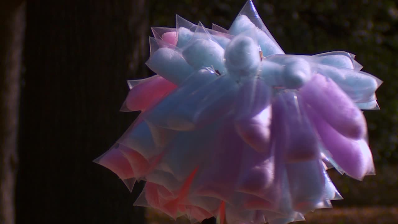 中央公园卖棉花糖的小贩视频下载