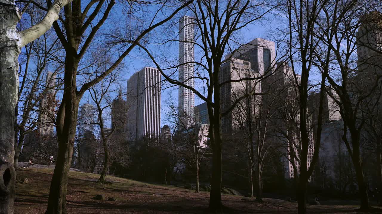 从中央公园俯瞰曼哈顿的建筑视频下载