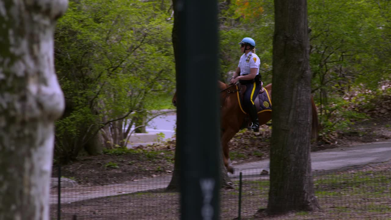 纽约中央公园的骑警视频下载