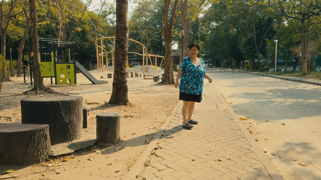 亚洲老太太与小孙子在公园散步，在秋叶中享受阳光-代际关系与家庭幸福。视频下载