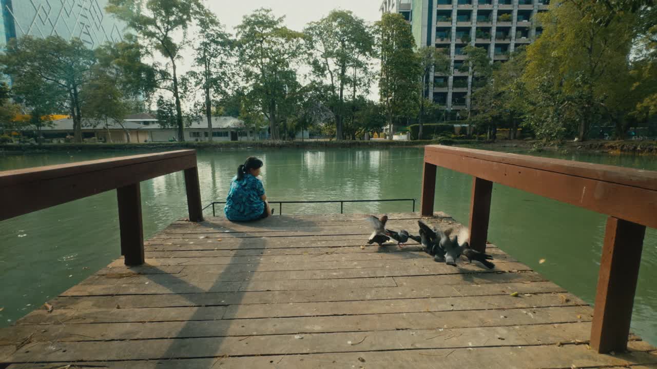 家庭时光:亚洲奶奶和孙子在池塘边的自然怀抱中寻找快乐和安宁。视频下载