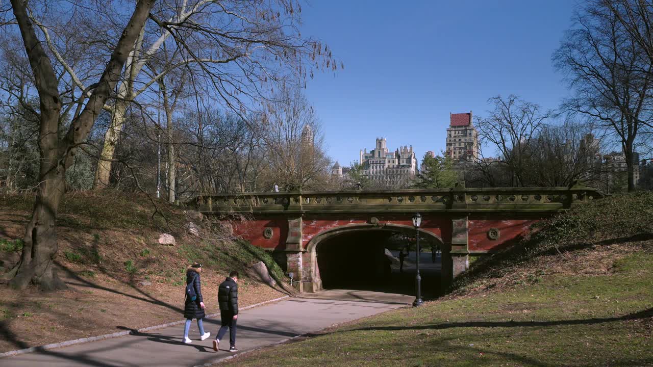 一个阳光明媚的下午，漫步在中央公园的行人视频下载