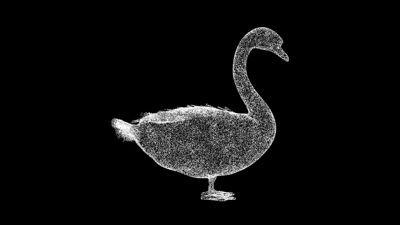 3D天鹅在黑色背景上旋转。野鸟概念。一只美丽的鸟。商业广告背景。用于标题，文本，演示。3d动画60 FPS。视频下载