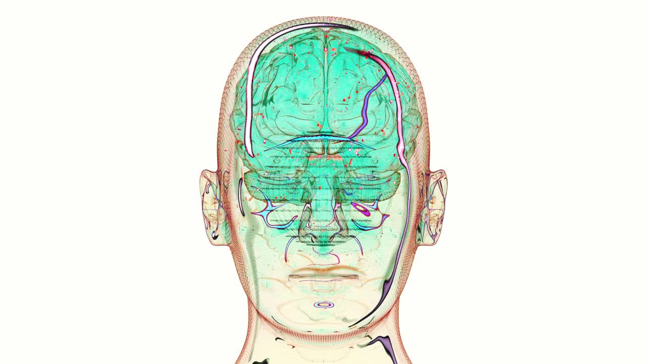 全息人体和数字网络中的大脑。让它看起来像一个二维图像。人工智能概念背景。视频下载