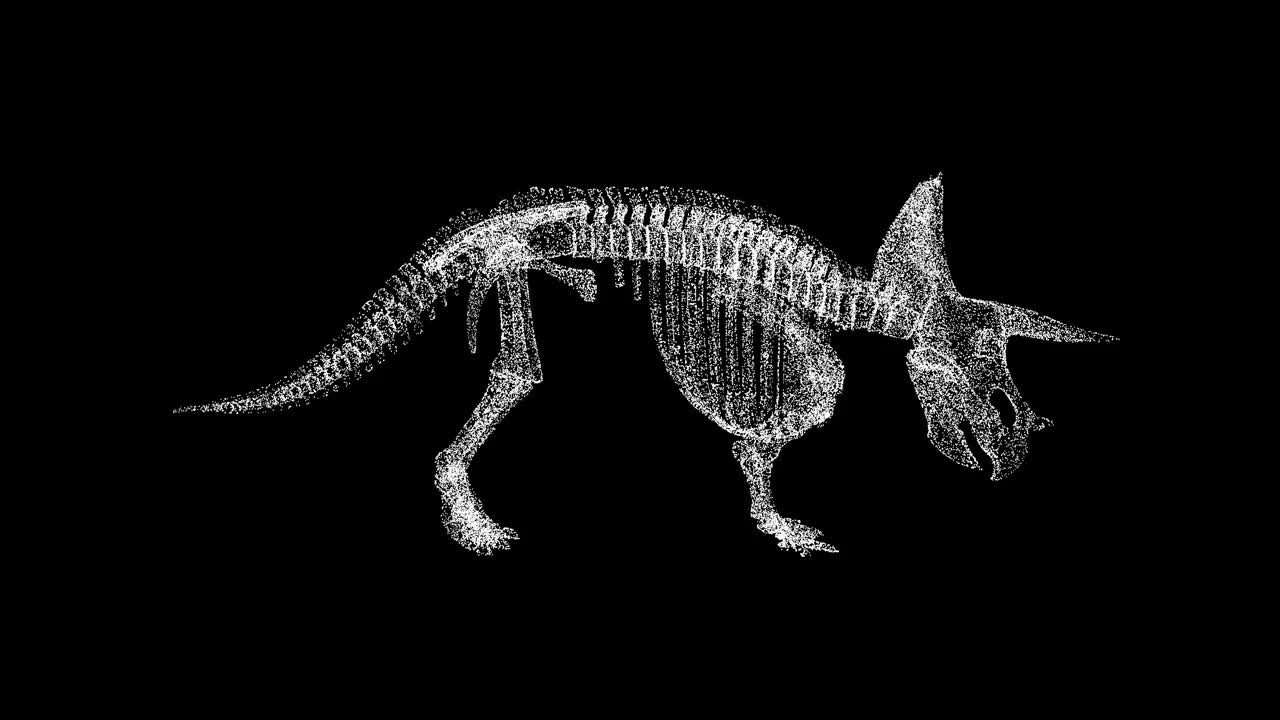 3D恐龙骨架在黑色背景上旋转。考古的概念。史前动物。商业广告背景。用于标题，文本，演示。3d动画60 FPS。视频下载