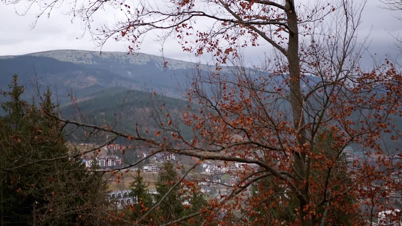 喀尔巴阡山脉的全景在雾天，多云的景观视频下载