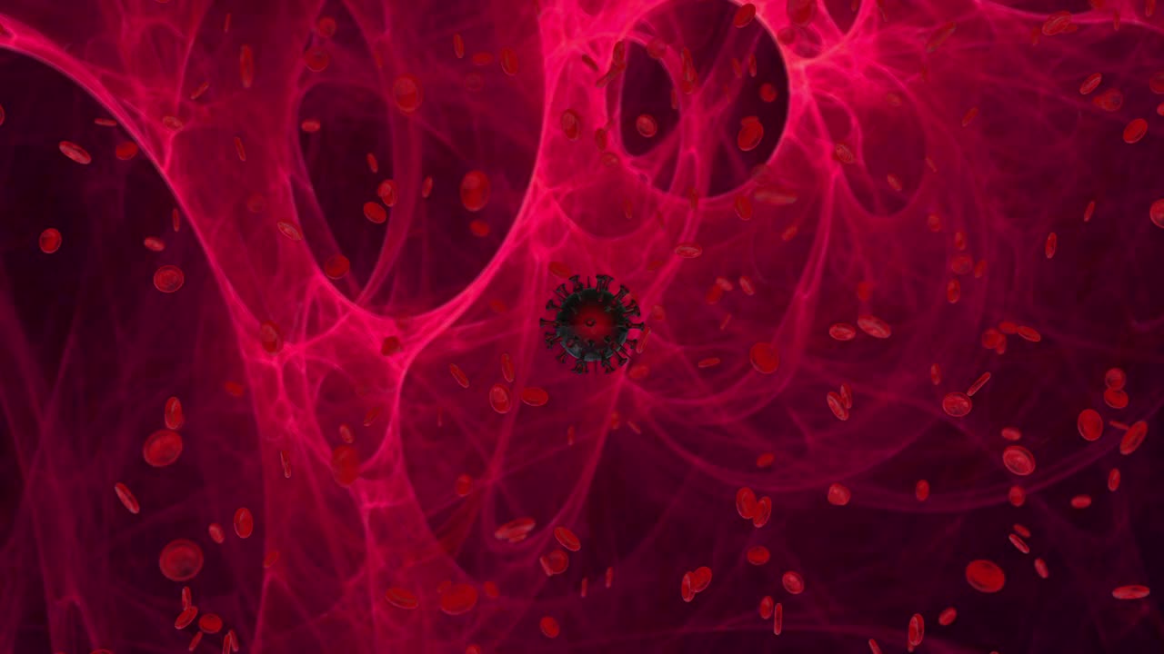 见证了深粉色球形丙型肝炎病毒株在人血液中的复制过程。探索丙型肝炎病毒的动态。理想的了解丙型肝炎病毒的进展。视频下载