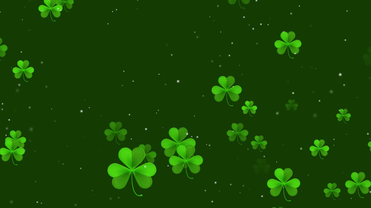 圣帕特里克节。在深绿色的背景上飞舞的三叶草叶子。视频下载