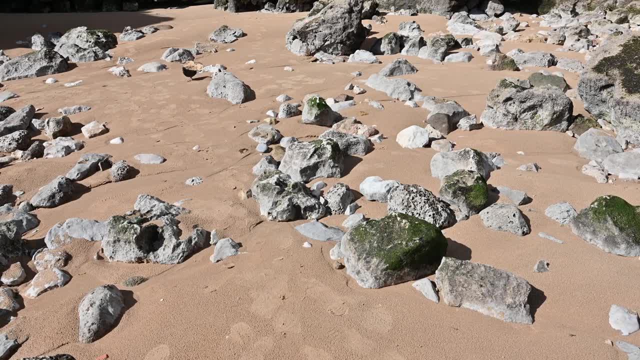 葡萄牙里斯本的大西洋海滩视频下载