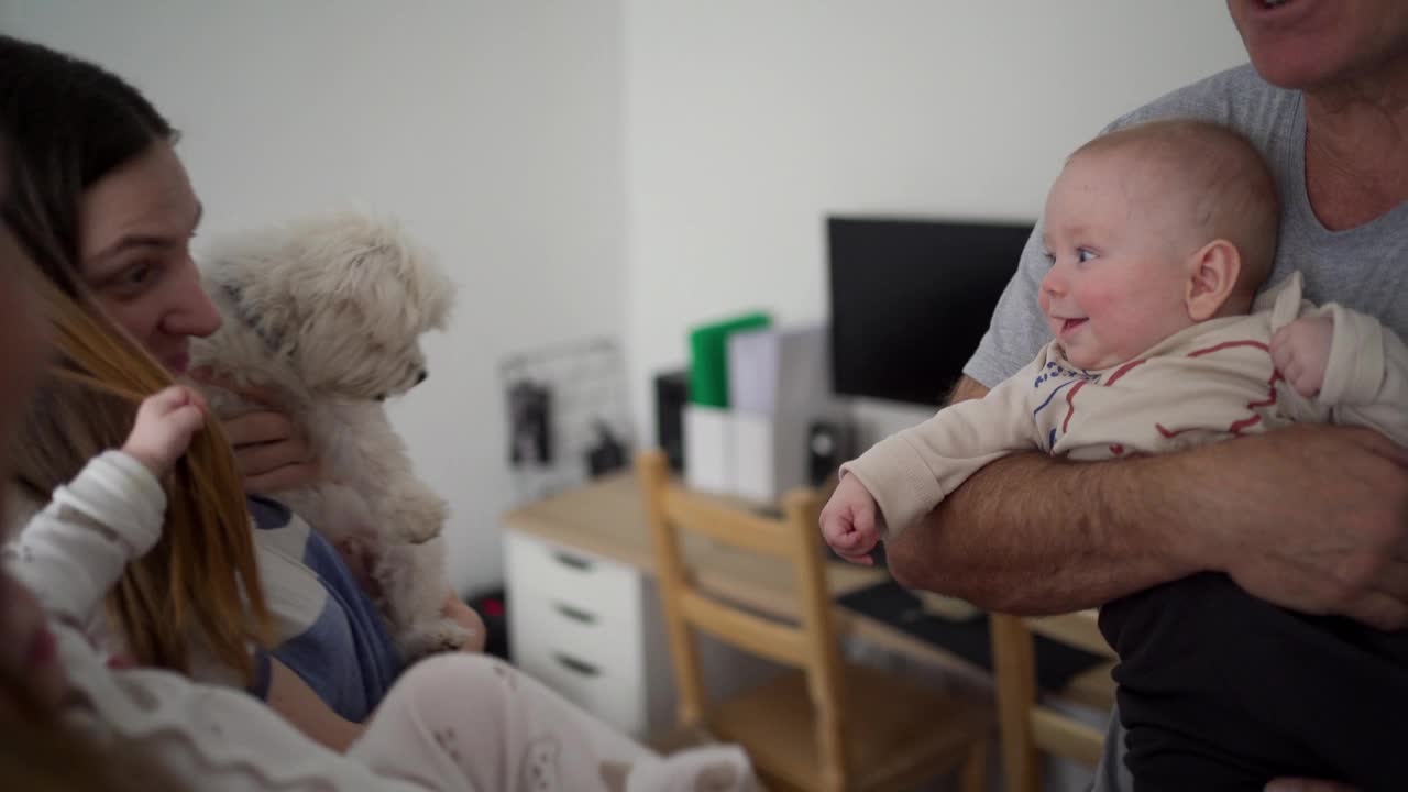 多代同堂的家庭，家里有可爱的双胞胎小男孩和小马尔济斯狗视频下载