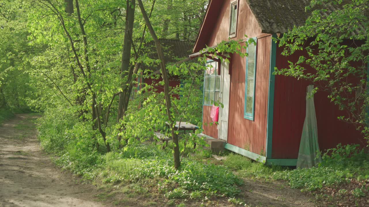 森林里的小红房子视频下载