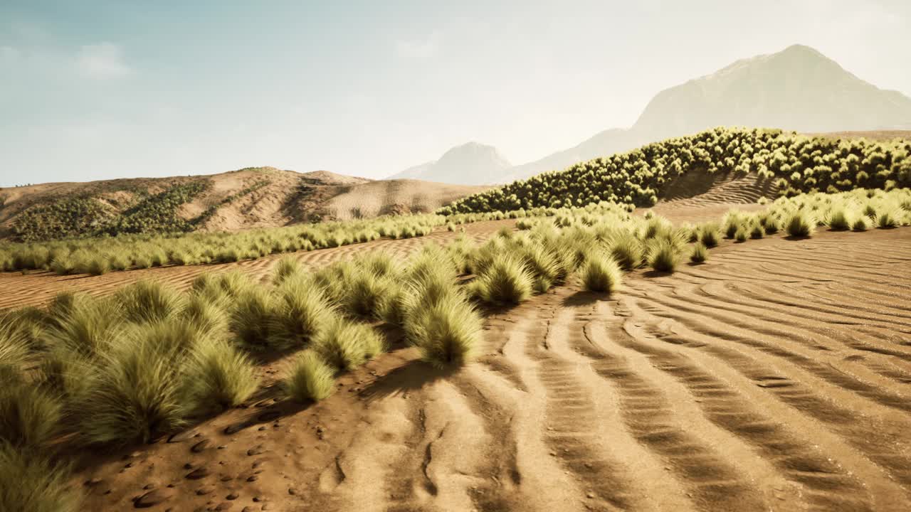 宁静的沙漠景观，远处有雄伟的山脉视频下载