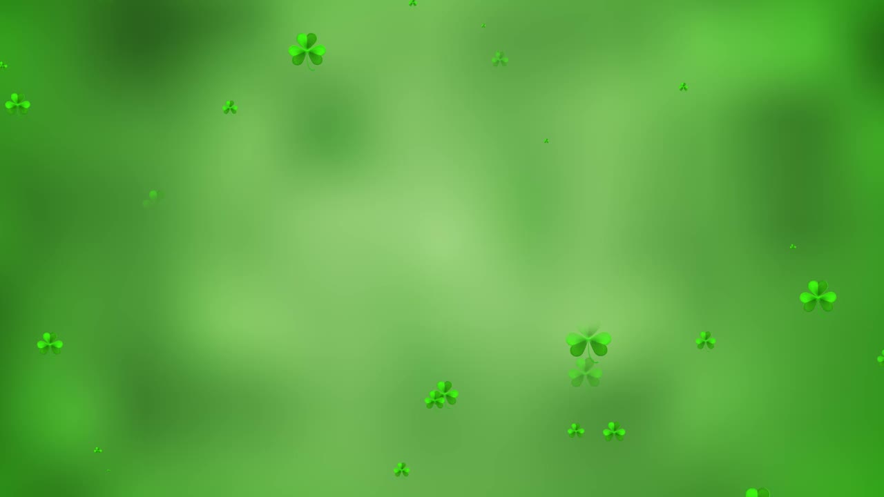 圣帕特里克节。在绿色的背景上飞舞的三叶草叶子。视频下载