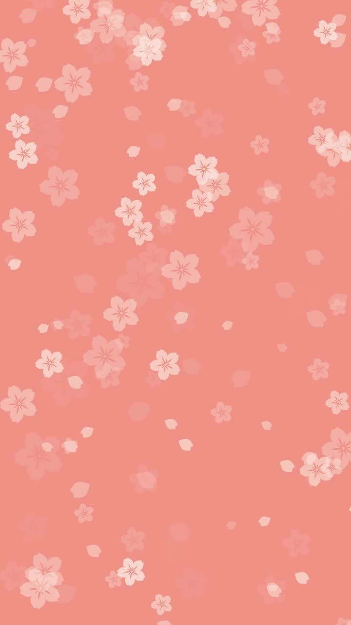 樱花在温柔的桃色垂直背景上绽放视频下载