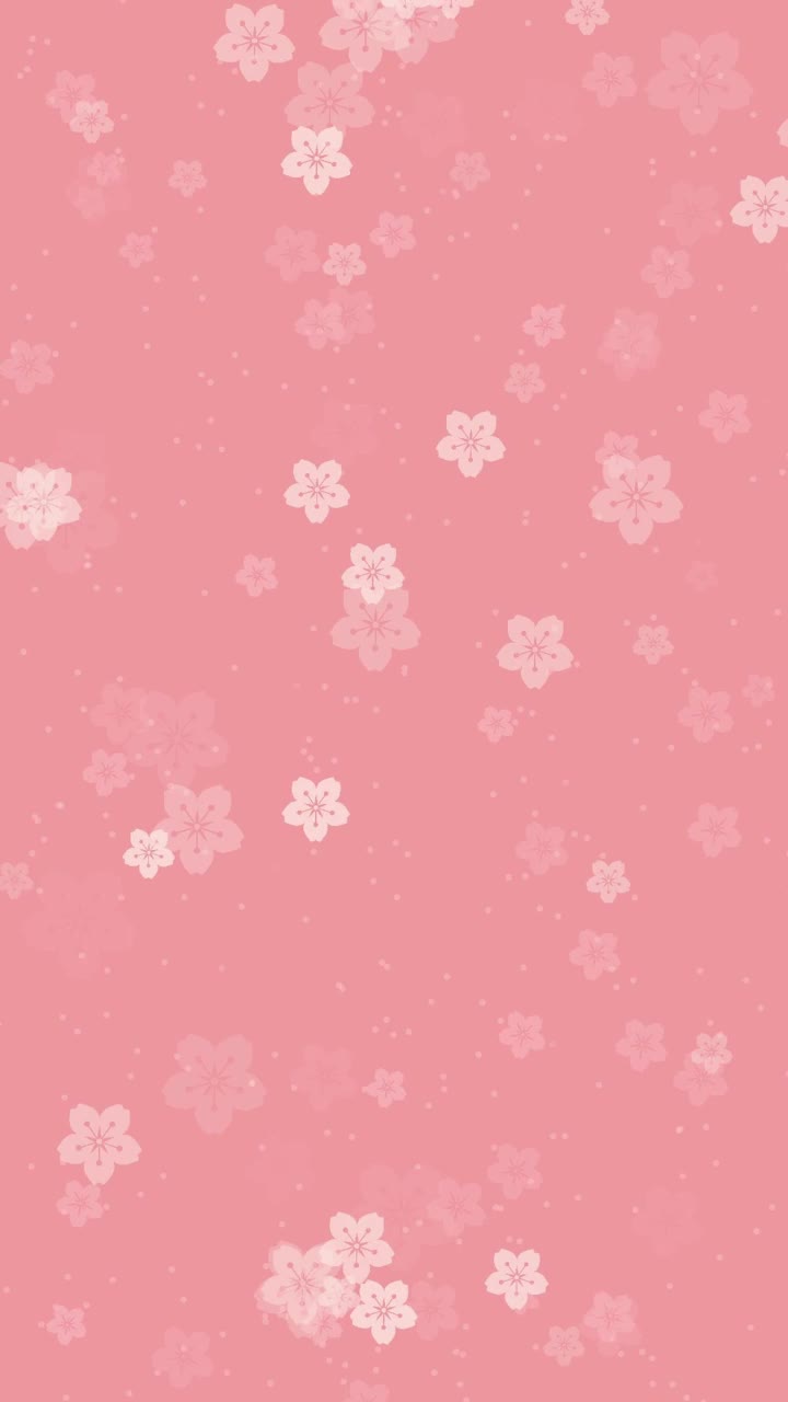 桃红色的背景与飘落的樱花视频下载