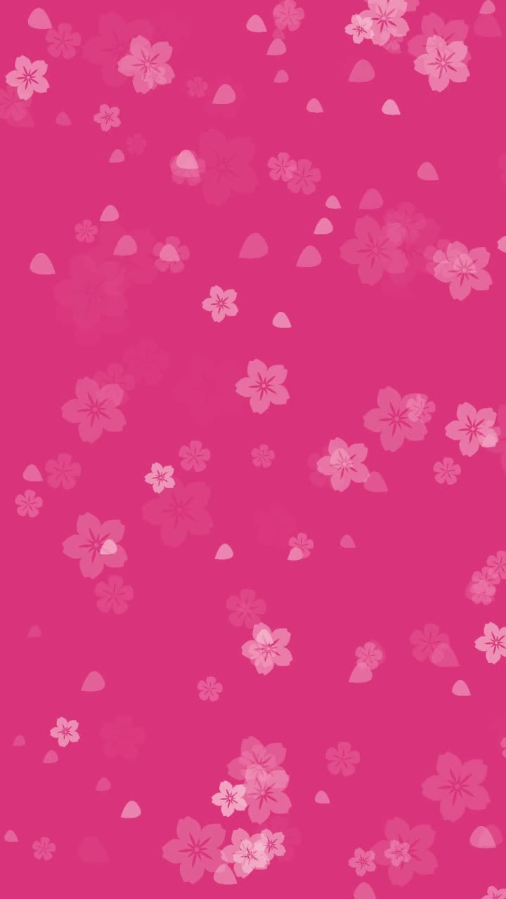 抽象的樱花落在生动的粉红色背景视频下载