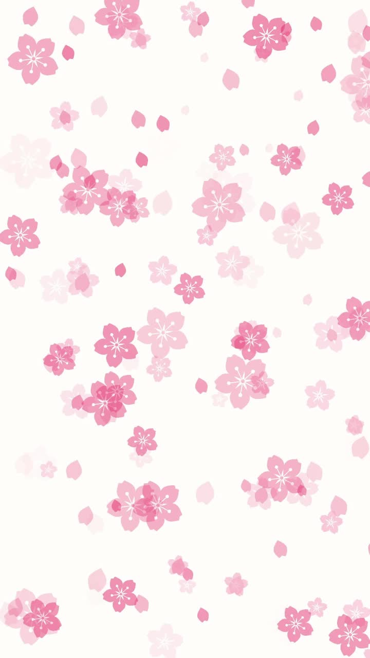 白色背景上的抽象樱花视频素材